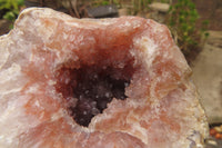 Natural Unusual Red Zululand Agate and Amethyst Geodes x 5 From South Africa - Toprock Gemstones and Minerals