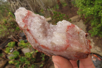 Natural Unusual Red Zululand Agate and Amethyst Geodes x 5 From South Africa - Toprock Gemstones and Minerals