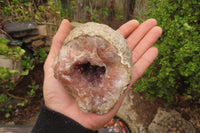 Natural Unusual Red Zululand Agate and Amethyst Geodes x 5 From South Africa - Toprock Gemstones and Minerals