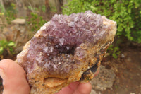 Natural Unusual Red Zululand Agate and Amethyst Geodes x 5 From South Africa - Toprock Gemstones and Minerals