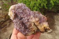 Natural Unusual Red Zululand Agate and Amethyst Geodes x 5 From South Africa - Toprock Gemstones and Minerals