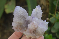 Natural Ametrine Spirit Quartz Clusters x 6 From Boekenhouthoek, South Africa - Toprock Gemstones and Minerals