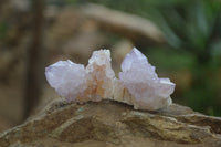Natural Ametrine Spirit Quartz Specimens x 20 From Boekenhouthoek, South Africa - Toprock Gemstones and Minerals