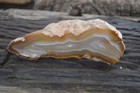Polished On One Side River Agate Nodules x 5 From Limpopo, South Africa - Toprock Gemstones and Minerals
