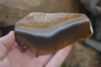 Polished On One Side River Agate Nodules x 5 From Limpopo, South Africa - Toprock Gemstones and Minerals