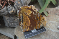 Polished On One Side Nguni Jasper Specimens x 2 From Prieska, South Africa - Toprock Gemstones and Minerals