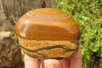 Polished Tiger's Eye Free Forms x 4 From Prieska, South Africa - Toprock Gemstones and Minerals