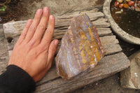 Polished On One Side Nguni Jasper Specimen x 1 From Prieska, South Africa - Toprock Gemstones and Minerals