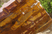 Polished On One Side Nguni Jasper Specimen x 1 From Prieska, South Africa - Toprock Gemstones and Minerals