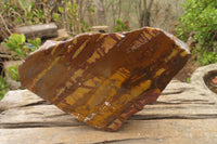 Polished On One Side Nguni Jasper Specimen x 1 From Prieska, South Africa - Toprock Gemstones and Minerals