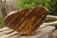 Polished On One Side Nguni Jasper Specimen x 1 From Prieska, South Africa - Toprock Gemstones and Minerals