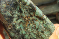 Polished Rare Emerald Mica In Matrix Standing Free Forms x 6 From Mutoko, Zimbabwe - Toprock Gemstones and Minerals