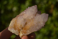 Natural Ametrine Spirit Quartz Clusters x 6 From Boekenhouthoek, South Africa - Toprock Gemstones and Minerals