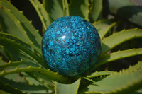Polished Chrysocolla Conglomerate Spheres x 2 From Congo - Toprock Gemstones and Minerals