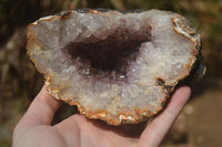 Natural Zululand Amethyst Geodes x 2 from Jozini, South Africa - Toprock Gemstones and Minerals