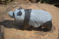Polished Wonder Stone Panda Carving x 1 From Zimbabwe - Toprock Gemstones and Minerals