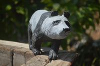 Polished Wonder Stone Panda Carving x 1 From Zimbabwe - Toprock Gemstones and Minerals