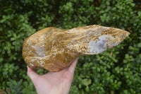 Polished Ocean Jasper Flame Sculpture x 1 From Madagascar - Toprock Gemstones and Minerals