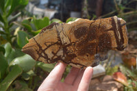 Polished On One Side Nguni Jasper Specimens x 2 From Prieska, South Africa - Toprock Gemstones and Minerals