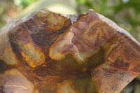 Polished On One Side Nguni Jasper Specimens x 2 From Prieska, South Africa - Toprock Gemstones and Minerals