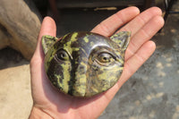 Polished Leopard Stone Cat Face Carvings x 3 From Zimbabwe - Toprock Gemstones and Minerals