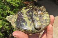 Polished Leopard Stone Cat Face Carvings x 3 From Zimbabwe - Toprock Gemstones and Minerals