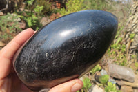 Polished Black Tourmaline Standing Free Form x 1 From Madagascar - Toprock Gemstones and Minerals