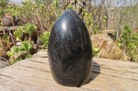 Polished Black Tourmaline Standing Free Form x 1 From Madagascar - Toprock Gemstones and Minerals
