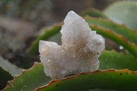Natural Spirit Quartz Clusters x 12 From Boekenhouthoek, South Africa - Toprock Gemstones and Minerals