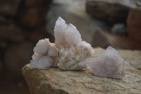 Natural Spirit Quartz Clusters x 12 From Boekenhouthoek, South Africa - Toprock Gemstones and Minerals