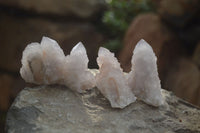 Natural Spirit Quartz Clusters x 12 From Boekenhouthoek, South Africa - Toprock Gemstones and Minerals