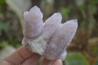 Natural Amethyst Spirit Quartz Clusters x 6 From Boekenhouthoek, South Africa - Toprock Gemstones and Minerals