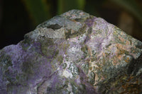 Natural Stichtite Cobbed Specimen x 1 From Barberton, South Africa - Toprock Gemstones and Minerals