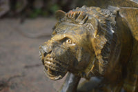 Hand Made Serpentine Lion Bookends x 2 From Zimbabwe - Toprock Gemstones and Minerals