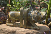 Hand Made Serpentine Lion Bookends x 2 From Zimbabwe - Toprock Gemstones and Minerals