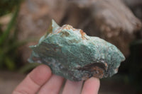 Natural Jade Cobbed Specimens x 12 From Swaziland - Toprock Gemstones and Minerals