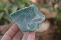 Natural Jade Cobbed Specimens x 12 From Swaziland - Toprock Gemstones and Minerals