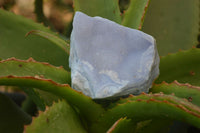 Natural Crystalline Blue Lace Agate Plates x 6 From Namibia - Toprock Gemstones and Minerals