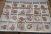 Natural Ametrine Spirit Quartz Crystals x 24 From Boekenhouthoek, South Africa - Toprock Gemstones and Minerals