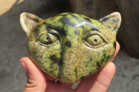 Polished Leopard Stone Cat Face Carvings x 3 From Zimbabwe - Toprock Gemstones and Minerals