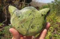 Polished Leopard Stone Cat Face Carvings x 3 From Zimbabwe - Toprock Gemstones and Minerals