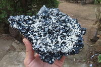 Natural Schorl Black Tourmaline With Feldspar Specimen x 1 From Namibia - Toprock Gemstones and Minerals