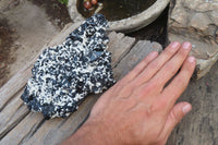 Natural Schorl Black Tourmaline With Feldspar Specimen x 1 From Namibia - Toprock Gemstones and Minerals