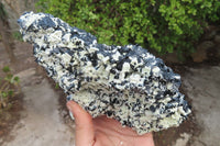 Natural Schorl Black Tourmaline With Feldspar Specimen x 1 From Namibia - Toprock Gemstones and Minerals