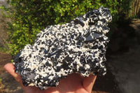 Natural Schorl Black Tourmaline With Feldspar Specimen x 1 From Namibia - Toprock Gemstones and Minerals