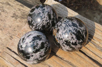 Polished Gabbro Spheres x 3 From Madagascar - Toprock Gemstones and Minerals