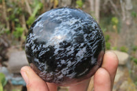 Polished Gabbro Spheres x 3 From Madagascar - Toprock Gemstones and Minerals
