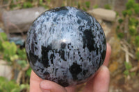 Polished Gabbro Spheres x 3 From Madagascar - Toprock Gemstones and Minerals