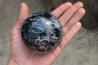 Polished Gabbro Spheres x 3 From Madagascar - Toprock Gemstones and Minerals