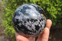 Polished Gabbro Spheres x 3 From Madagascar - Toprock Gemstones and Minerals